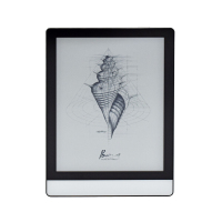 Электронная книга ONYX BOOX Poke 3 Special Edition